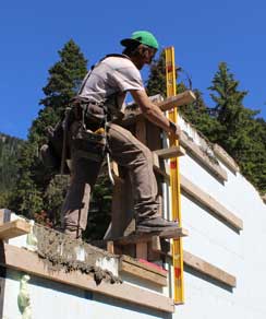 Ringmaster and Bone Structure